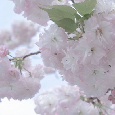 Furry绘画细节技巧FurryQQ群